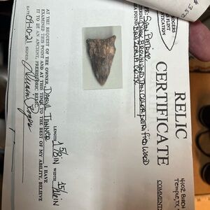 Petrified Wood Archaic Arrowhead/ Brazoria Cty Texas